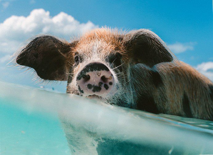 Corona: Financial aid for companies through banks