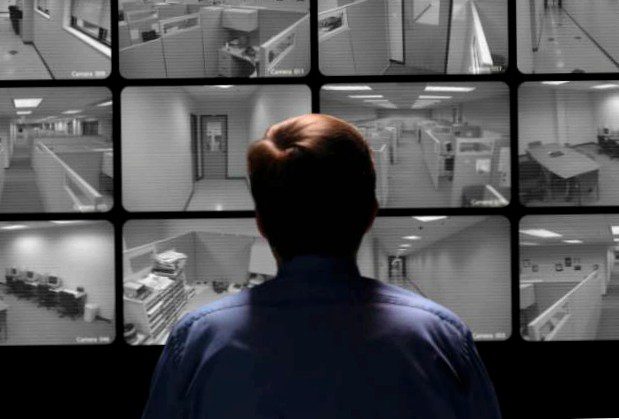 10 unusual criminals